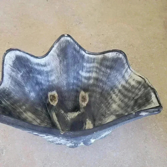 Shell Home Decor - Picture 3 of 5